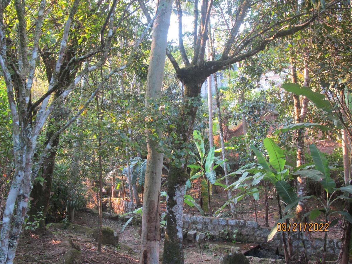 Villa Janela Dos Meus Sonhos Penedo  Exterior foto