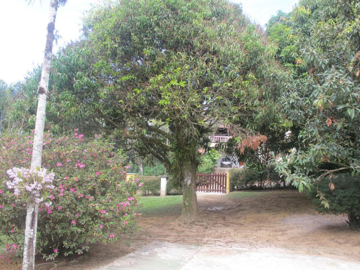 Villa Janela Dos Meus Sonhos Penedo  Exterior foto