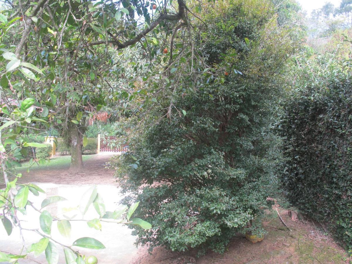 Villa Janela Dos Meus Sonhos Penedo  Exterior foto