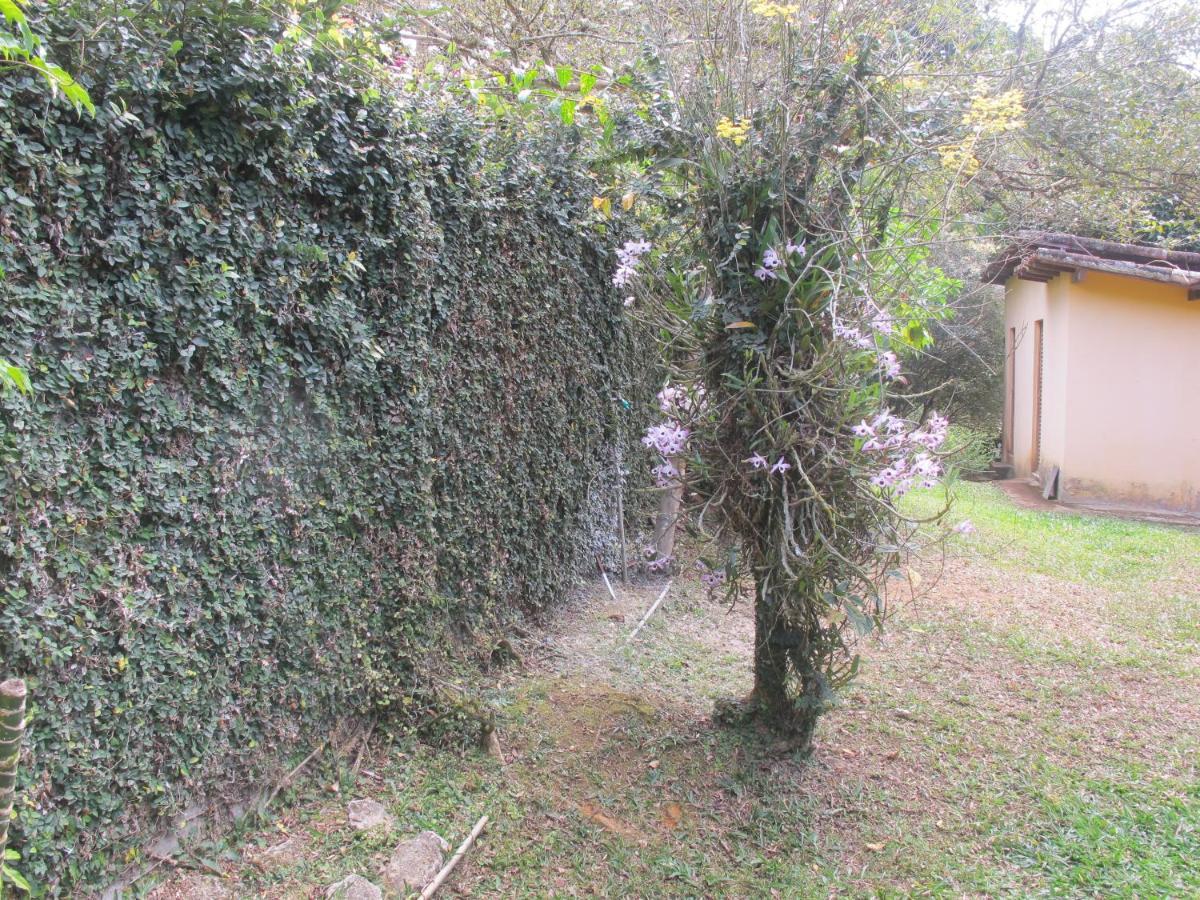 Villa Janela Dos Meus Sonhos Penedo  Exterior foto